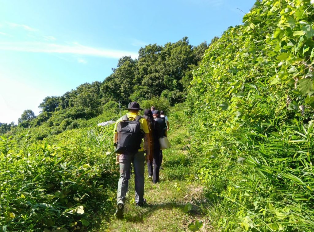 randonnée dans la préfecture d'Oita