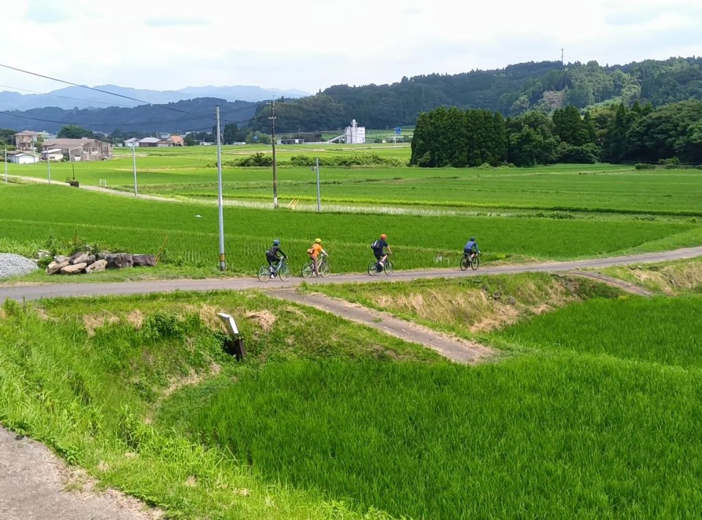 faire du vélo entre les rizières